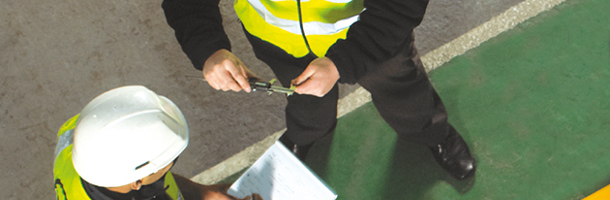 Consultation and site survey